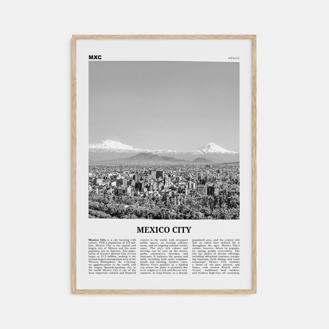 Mexico City Black and White No. 2 Travel Poster