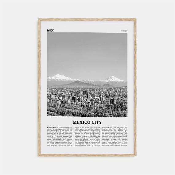 Mexico City Black and White No. 2 Travel Poster