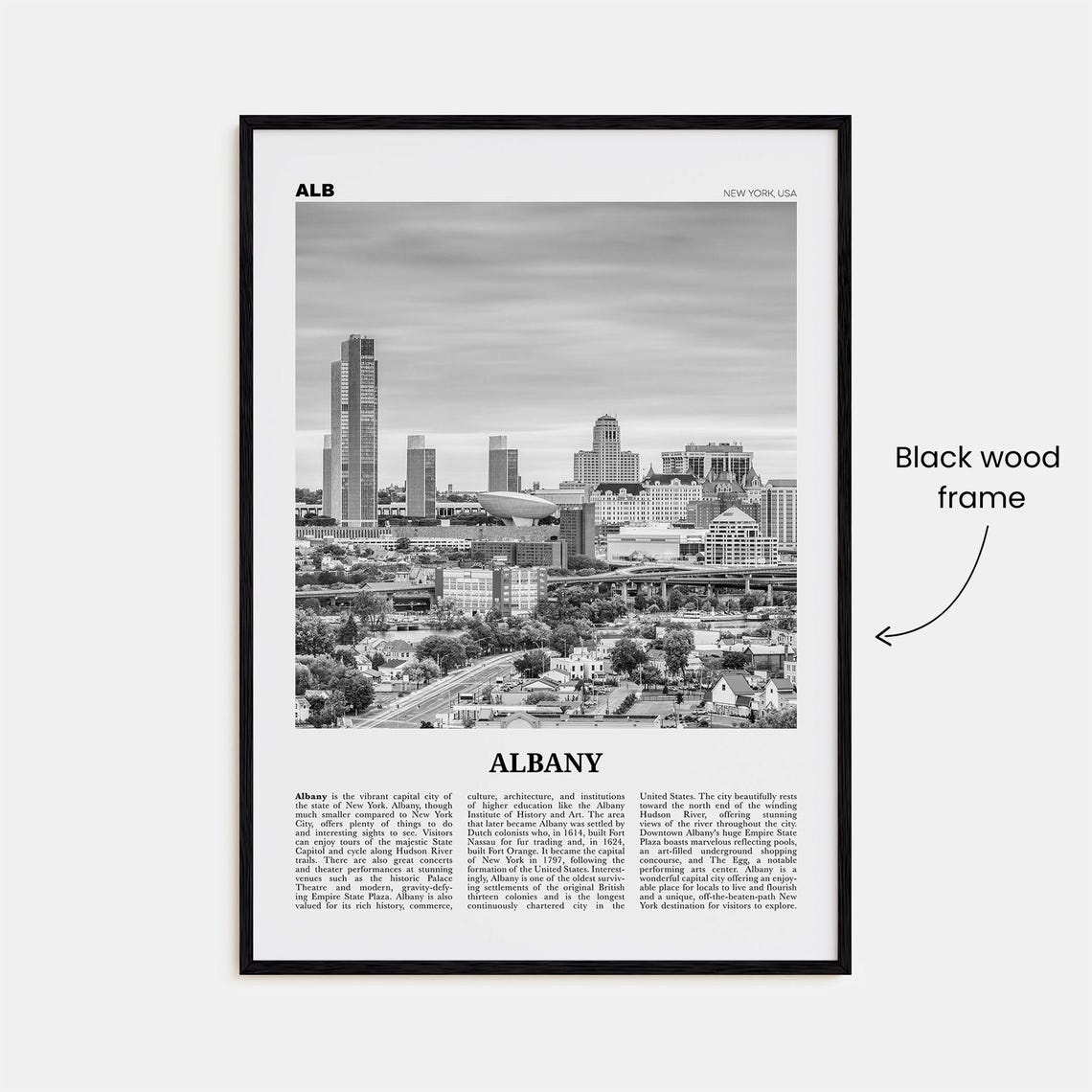 Albany New York Black and White Travel Poster - Image 3