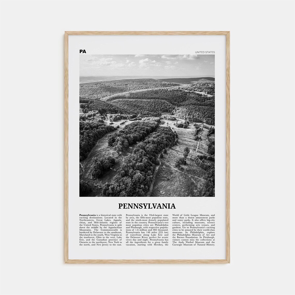 Pennsylvania Black and White No. 2 Travel Poster