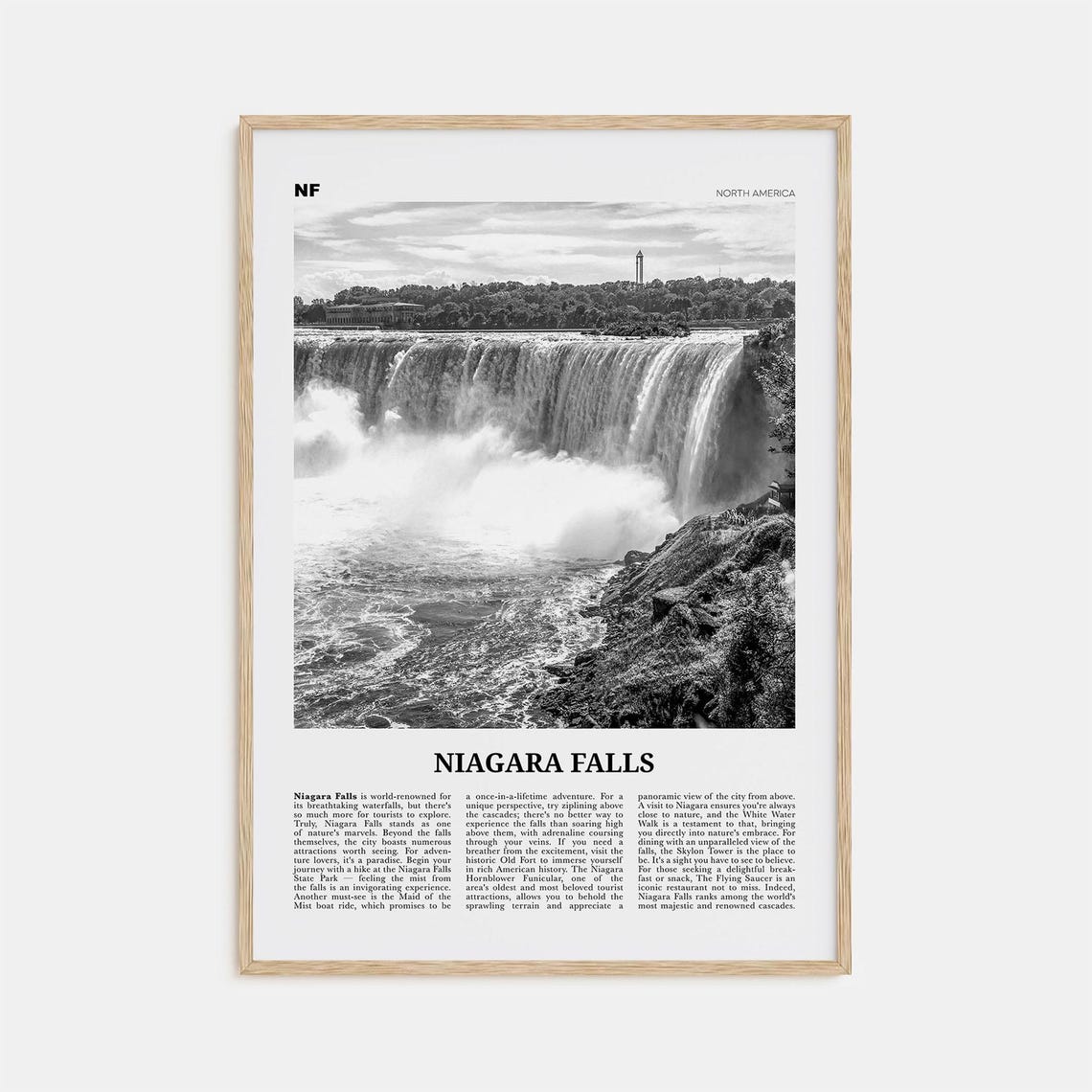 Niagara Falls Black and White North America Travel Poster