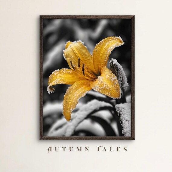 Yellow Lily Dust Frost In Monochrome Snowy Forest Black White Photo Poster