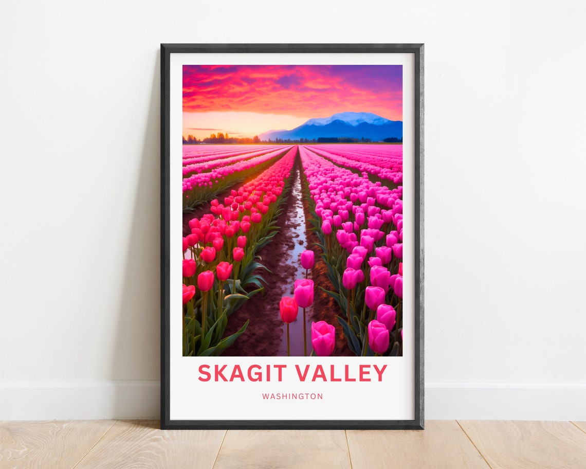 Skagit Valley Washington Pink Tulip Field Spring Sunset Art Poster