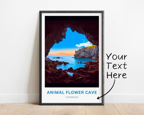 Personalized Animal Flower Cave Travel Print Animal Flower Cave Poster Caribbean Wall Art Framed Present Gift Caribbean Present