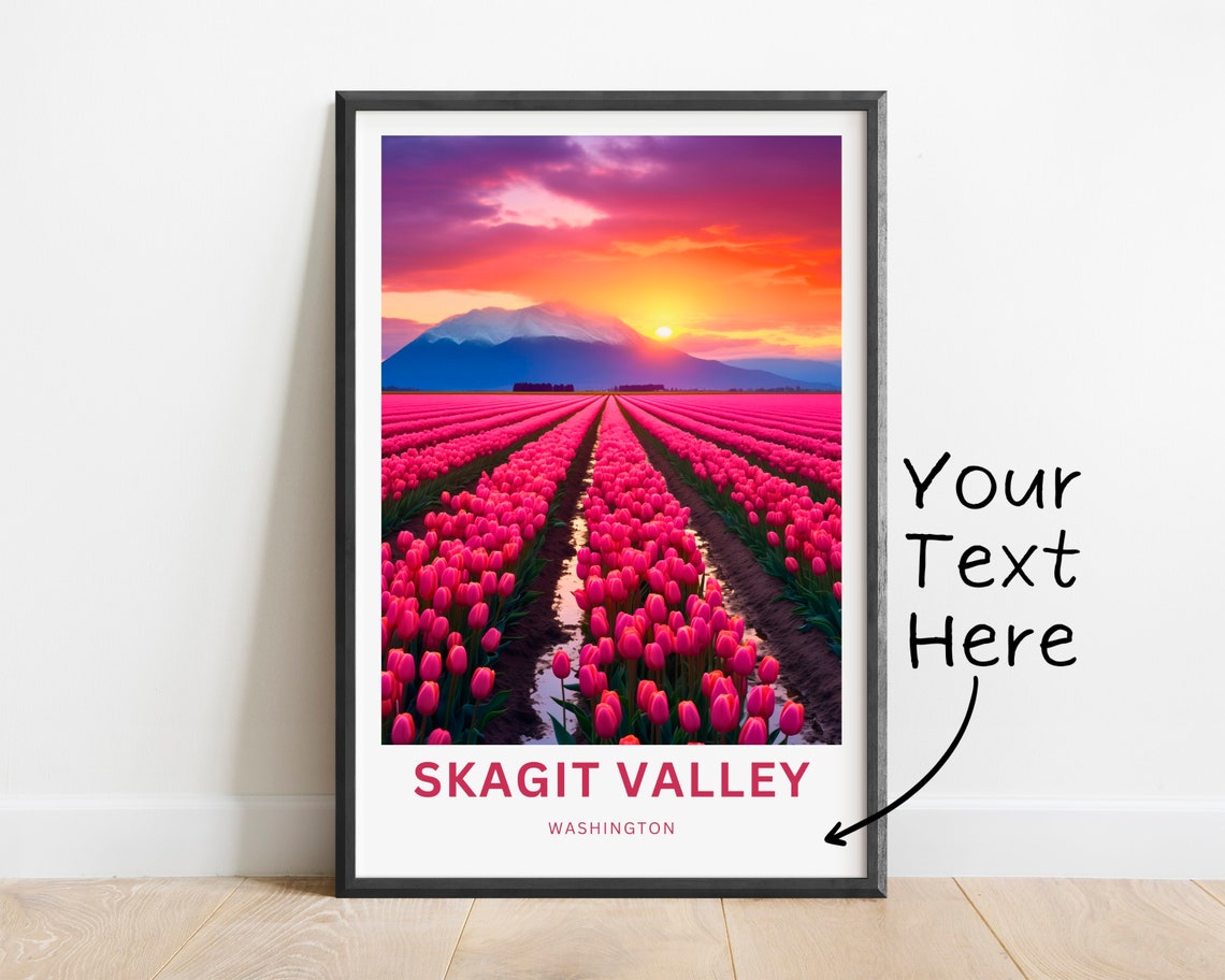 Skagit Valley Washington Pink Tulip Rows Sunset Mountain Poster