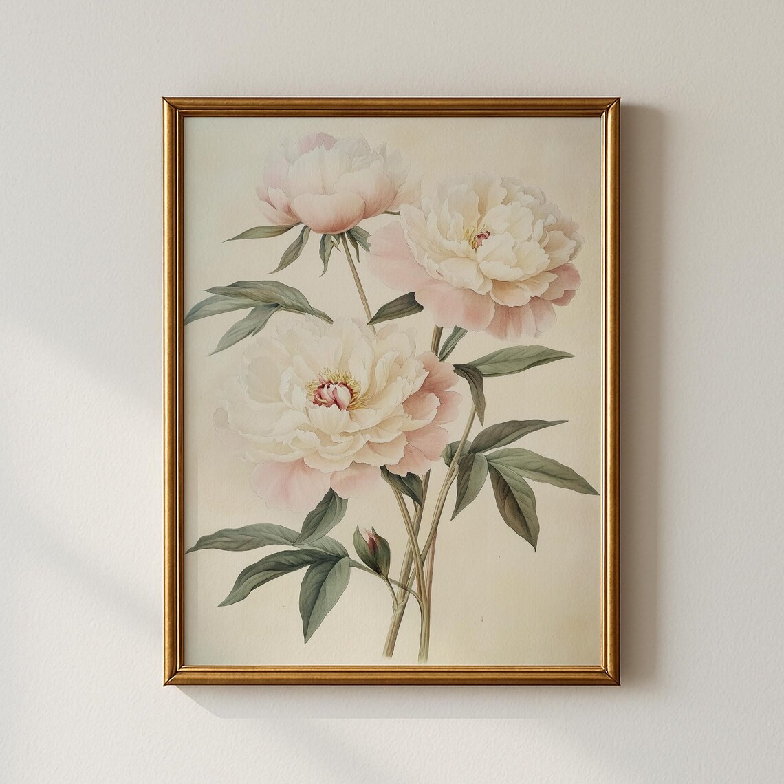 Blush Peony Blossom Vintage Botanical Floral Illustration Poster