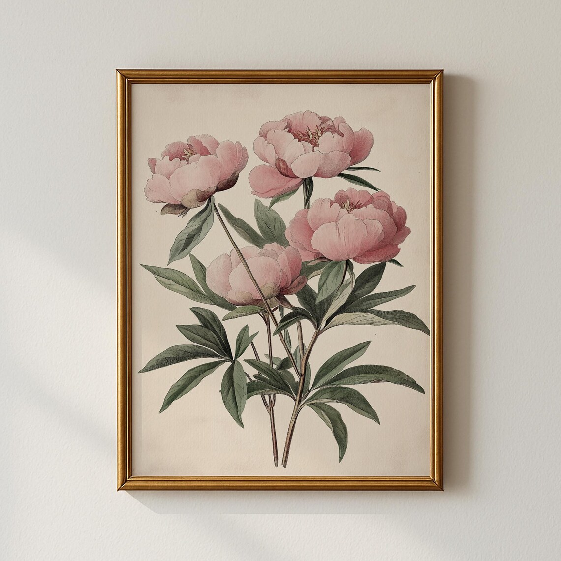 Pink Peony Bouquet Vintage Botanical Floral Illustration Decor Poster