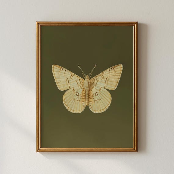 Vintage Ivory Moth Print Bedroom Wall Art Collected Prints Cpp091