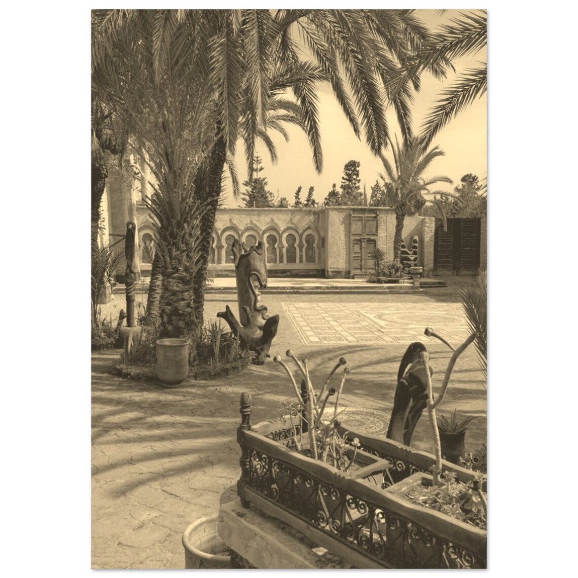 Vintage Agadir Morocco Palm Courtyard Sepia Travel Photo Poster