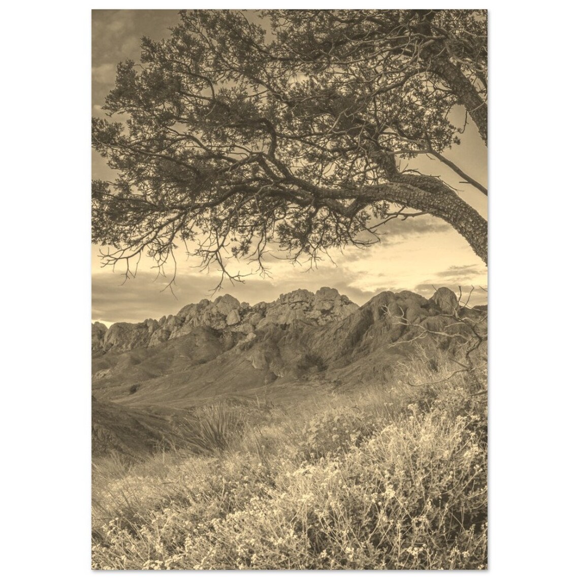 Las Cruces Desert Mountains Sepia Vintage Landscape Photo Poster