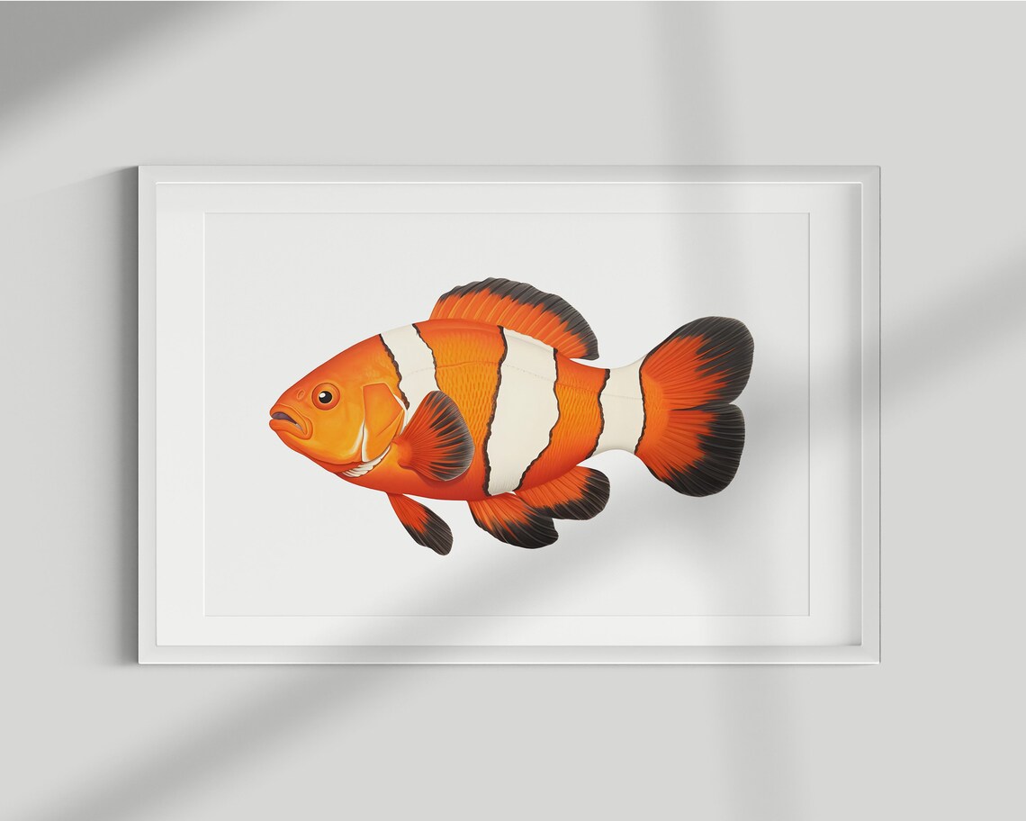 Clownfish Vintage Illustration Art Print