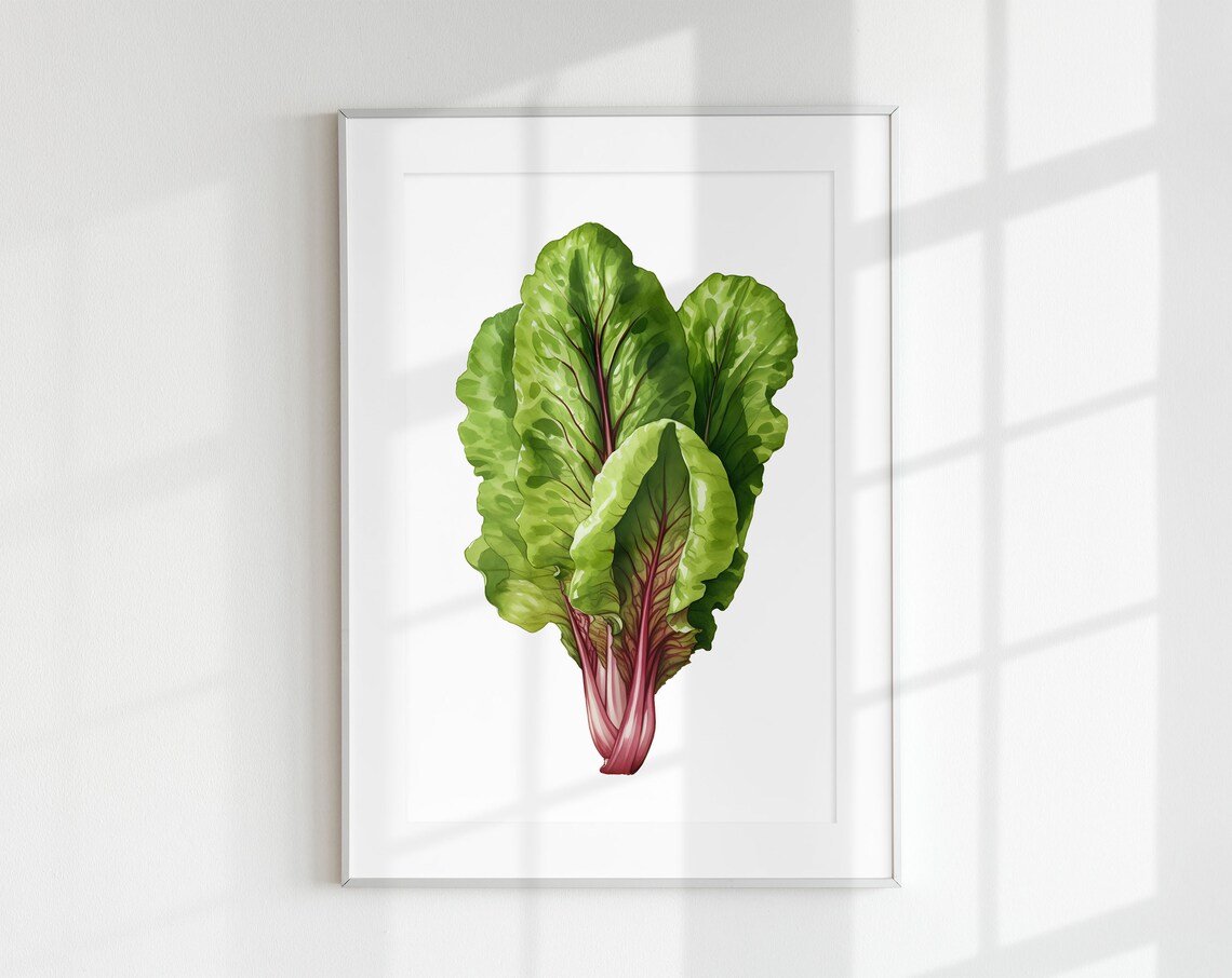 Lettuce Print, Botanical Vintage Kitchen Art Print
