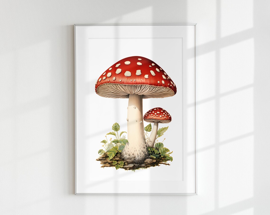 Fly Agaric Mushroom Botanical Guide Art Print