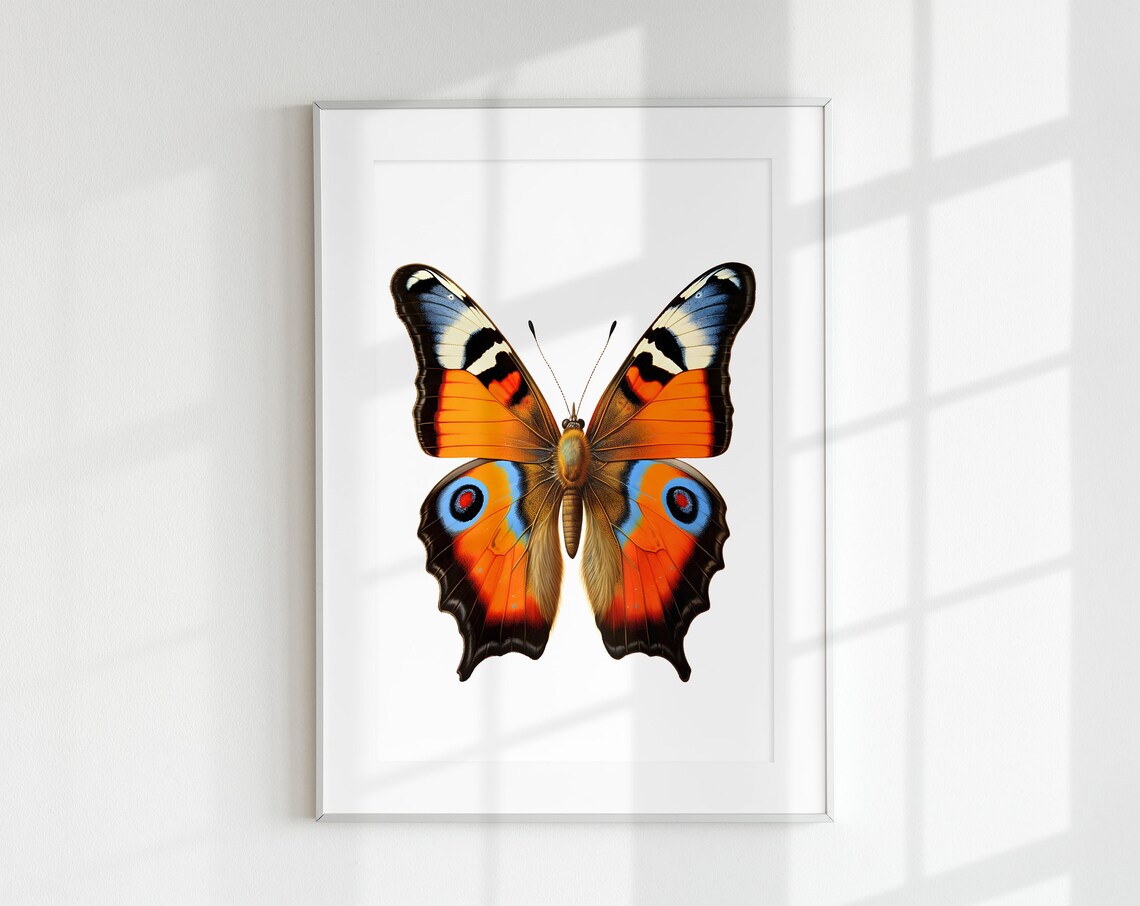 Peacock Butterfly Botanical Guide Art Print
