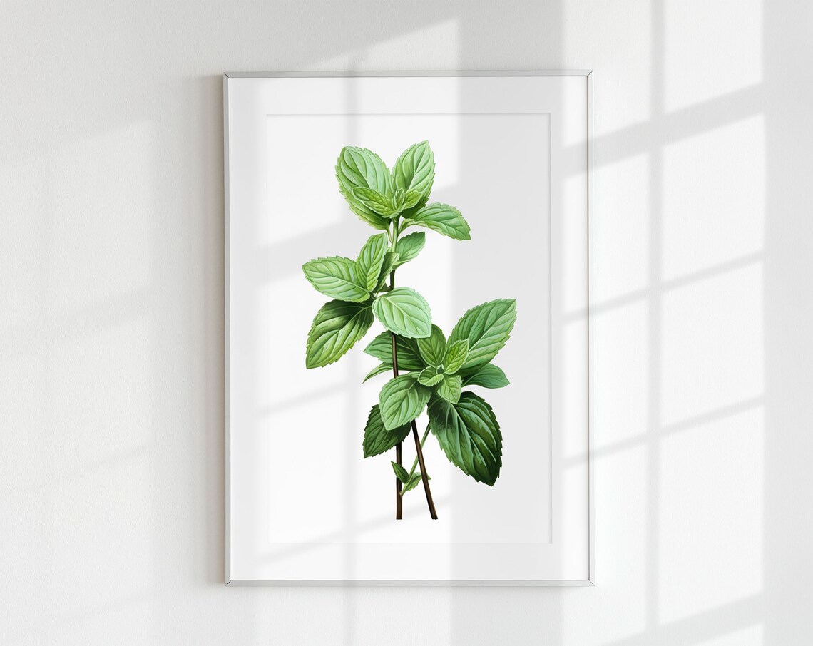 Mint Botanical Kitchen Art Print, Fresh Herb Study