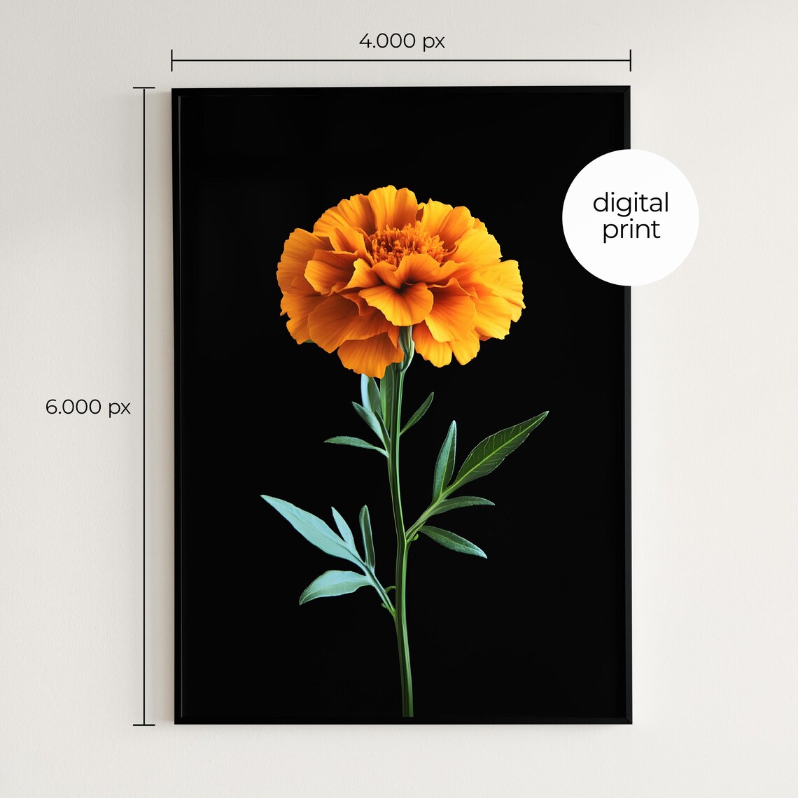 Marigold Floral Botanical Art Print, Minimal Modern - Image 2