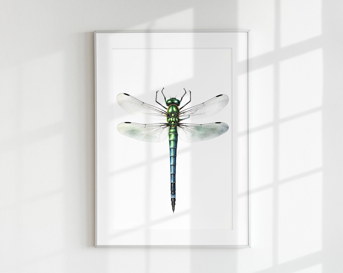 Dragonfly Botanical Guide Poster Print