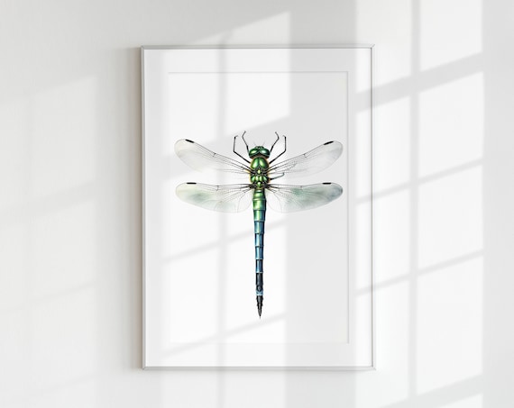 Dragonfly Botanical Guide Poster Print
