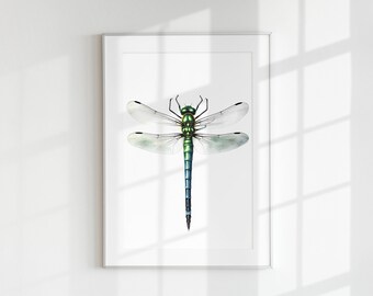 Dragonfly Botanical Guide Poster Print