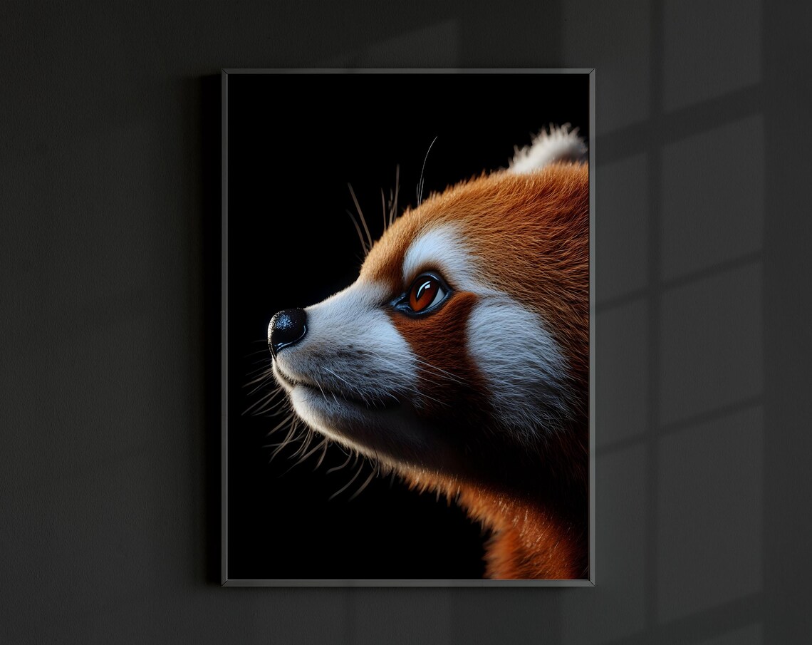Red Panda Photo Poster, Minimal Modern Wildlife