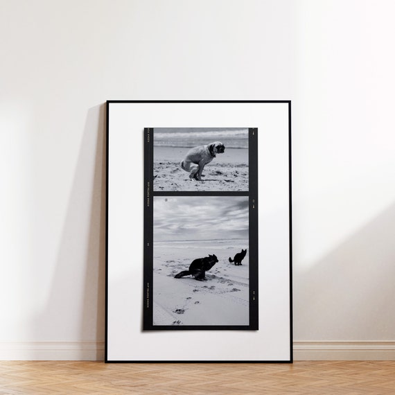 Dog Pooping Funny Polaroid Collage Bathroom Wall Art Funny Canva Template