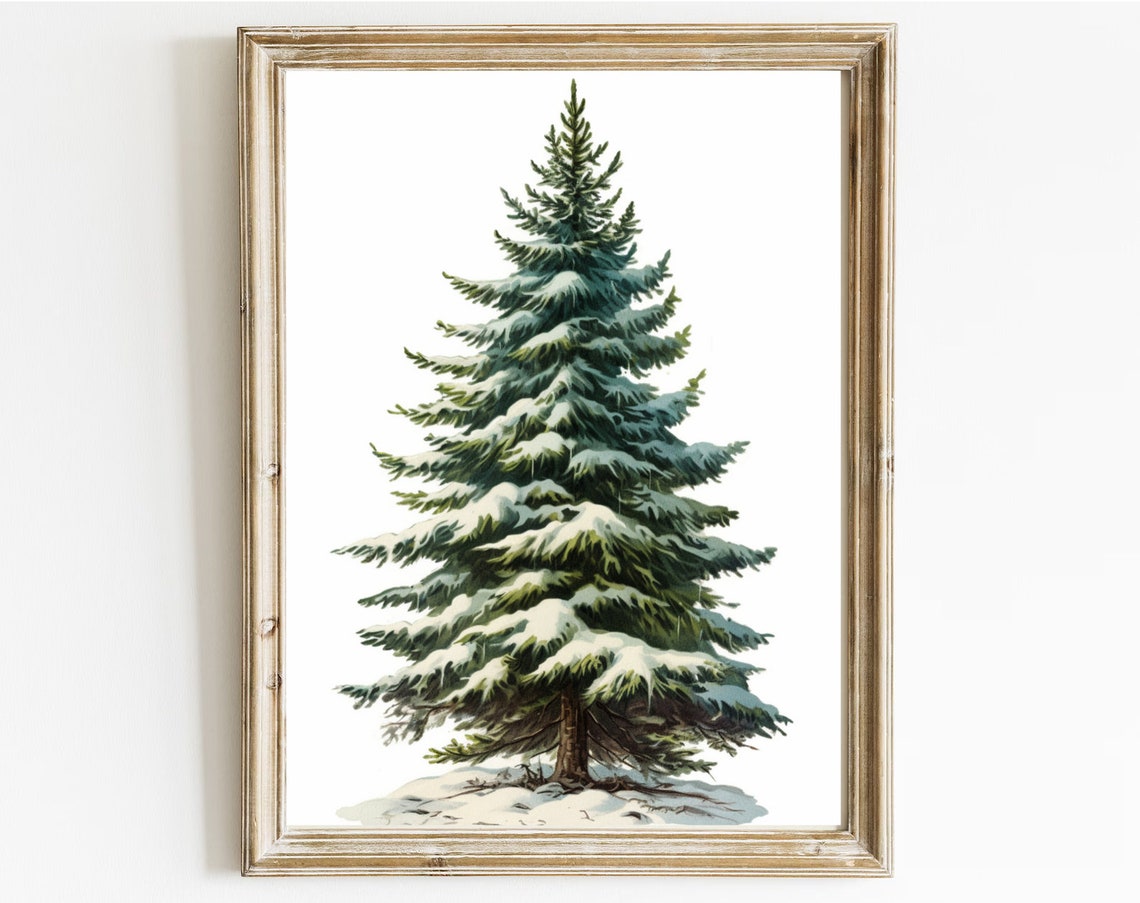 Snowy Spruce Tree White Background Classic Winter Art Poster