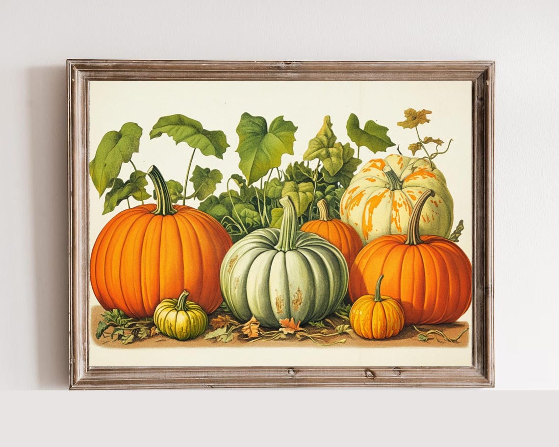 Heirloom Pumpkins Gourds Botanical Harvest Illustration Poster