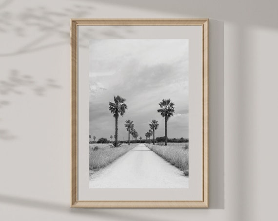 Black And White Photography Of Rural Road With Palm Trees Commercial Andor Personal Use Art Photography Instant