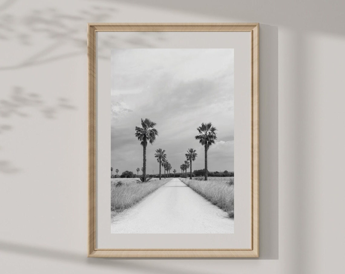 Black And White Palm Tree Lined Rural Road Minimalist Travel Poster