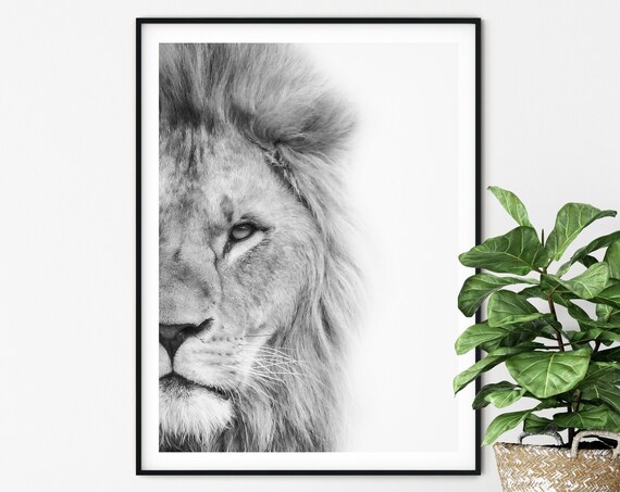 Animal Print Lion Photography Safari Nursery Art Print