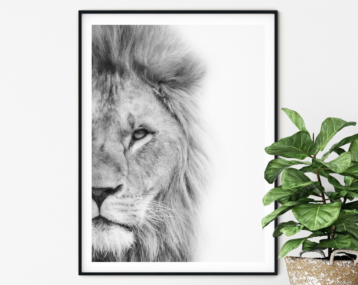 Animal Print Lion Photography Safari Nursery Art Print