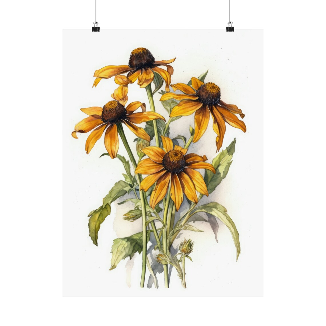 Golden Black Eyed Susan Flowers Fresh Watercolor Botanical Poster - Image 5