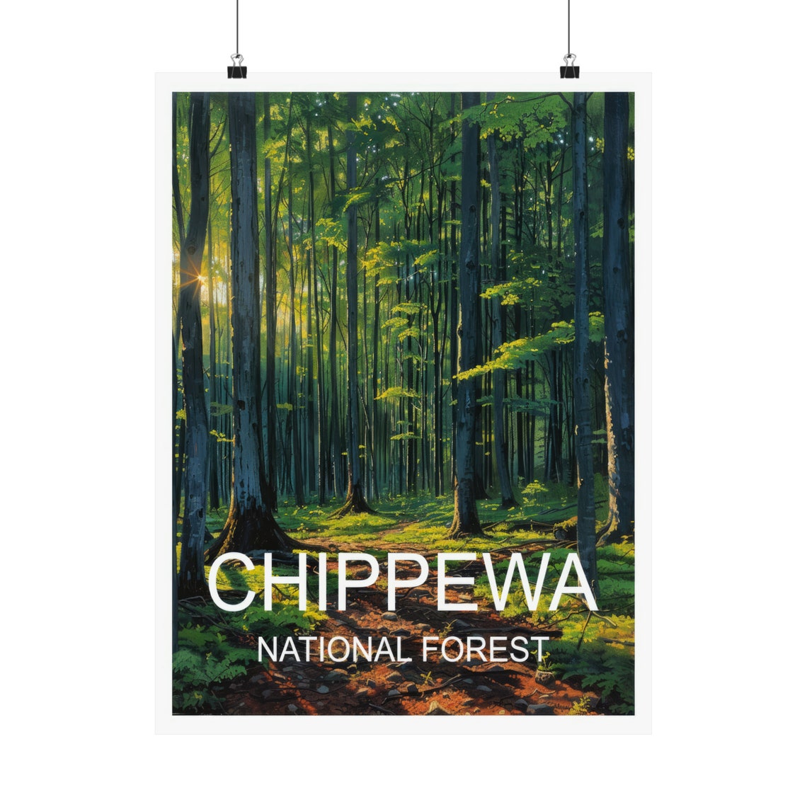 Chippewa National Forest Sunlit Green Woodland Interior Scenic Poster - Image 5