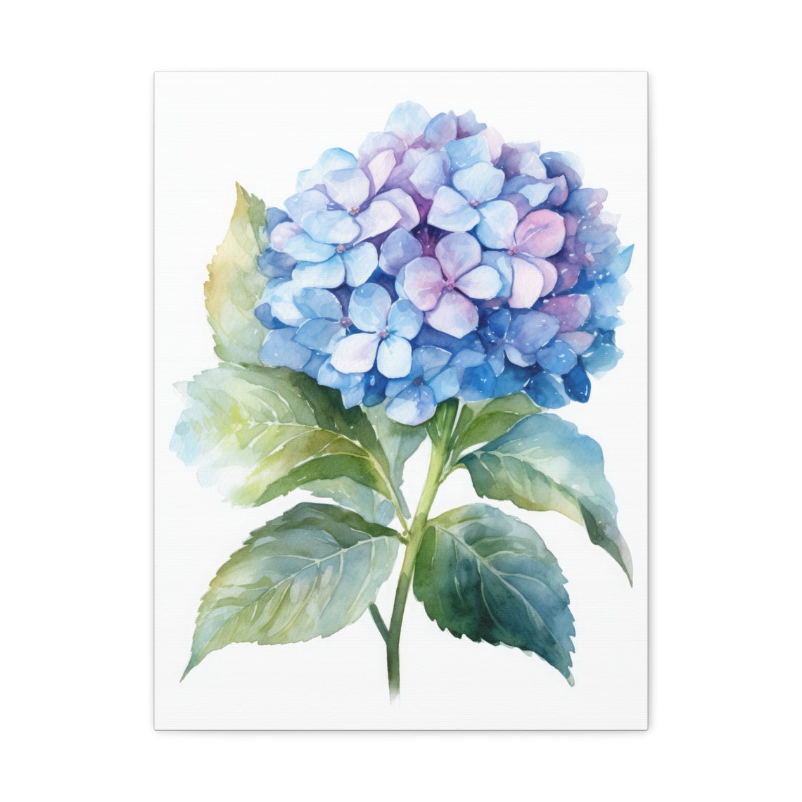 Blue Hydrangea Bloom Soft Watercolor Blue Purple Floral Art Print