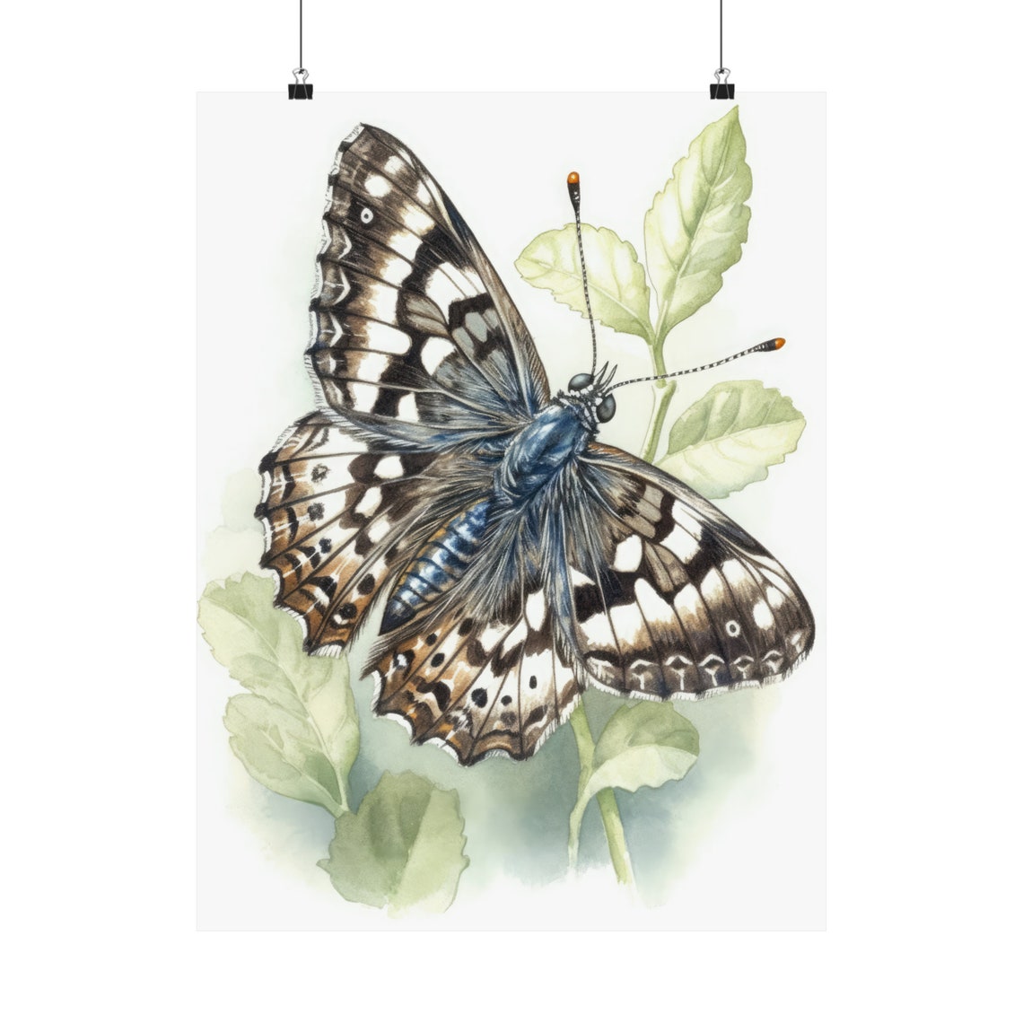 Checkered Butterfly Art Print Butterfly Home Dcor Watercolor Butterfly Painting Insect Wall Art Nature Lover Butterflies Artwork - Image 5