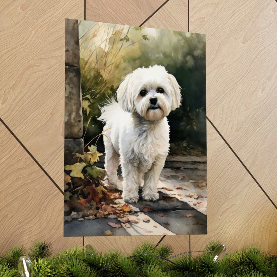 Maltese Dog White Fluffy Watercolor Portrait Garden Path Poster - Image 2