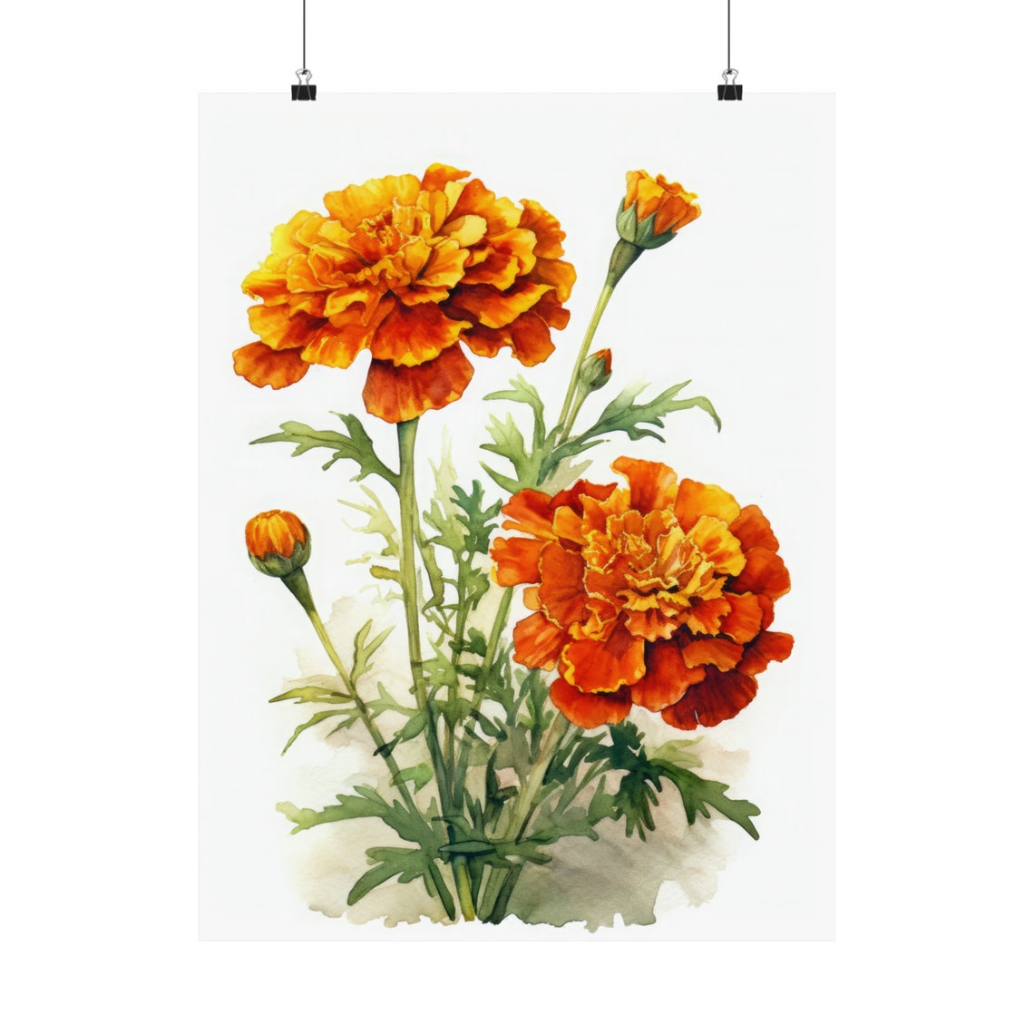 Orange Marigold Blooms Watercolor Botanical Floral Fine Art Poster - Image 5