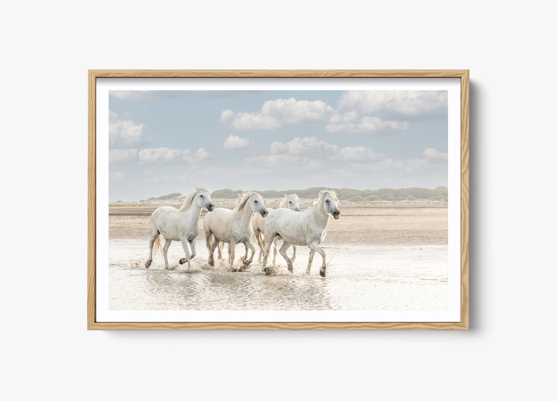 Wild Horse Photography, Camargue Horse Print