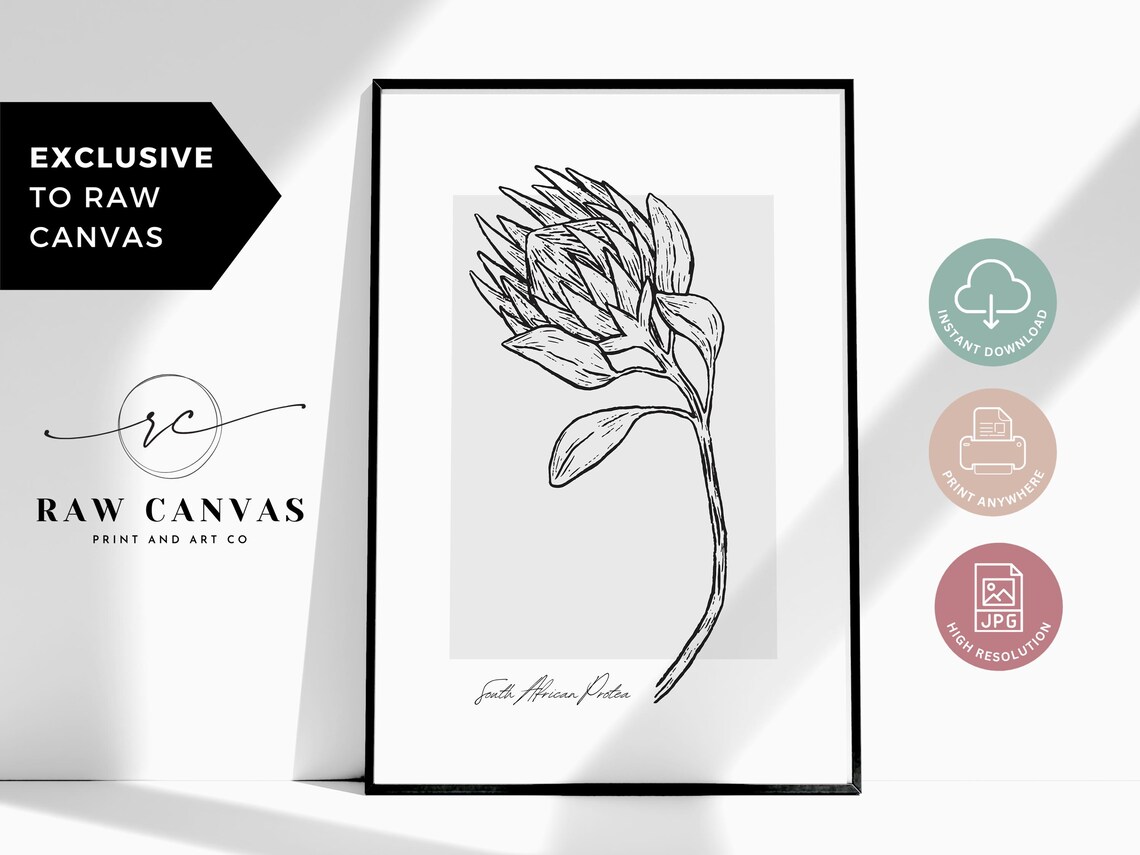 Protea Botanical Line Art, Minimalist Floral Art