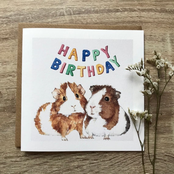 Guinea Pig Birthday Banner Card Poster Print
