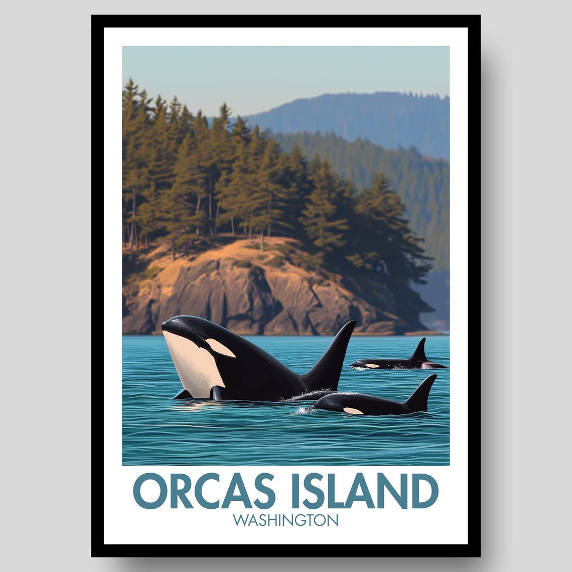 Orcas Island Washington Killer Whale Breach Ocean Wildlife Poster