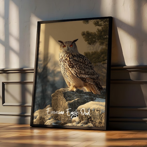 Eurasian Eagle Owl Perched On Snowy Rock Majestic Bird Of Prey Poster