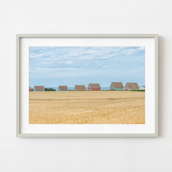 Coastal Cottages Golden Wheat Field Seaside Summer Photo Poster