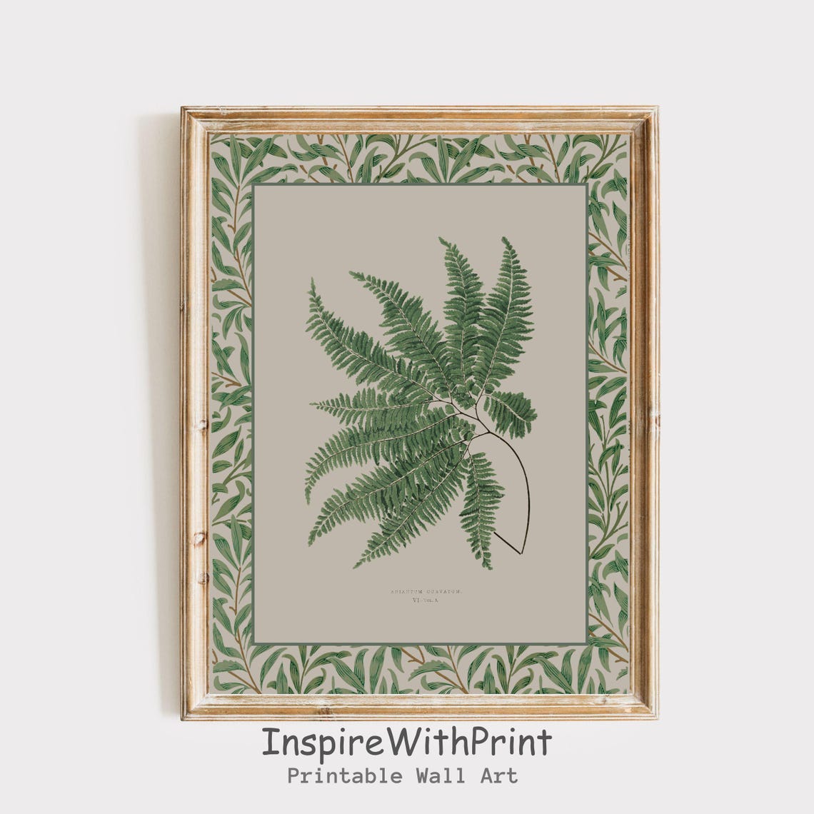 Vintage Green Fern Botanical Illustration Cottage Core Art Poster