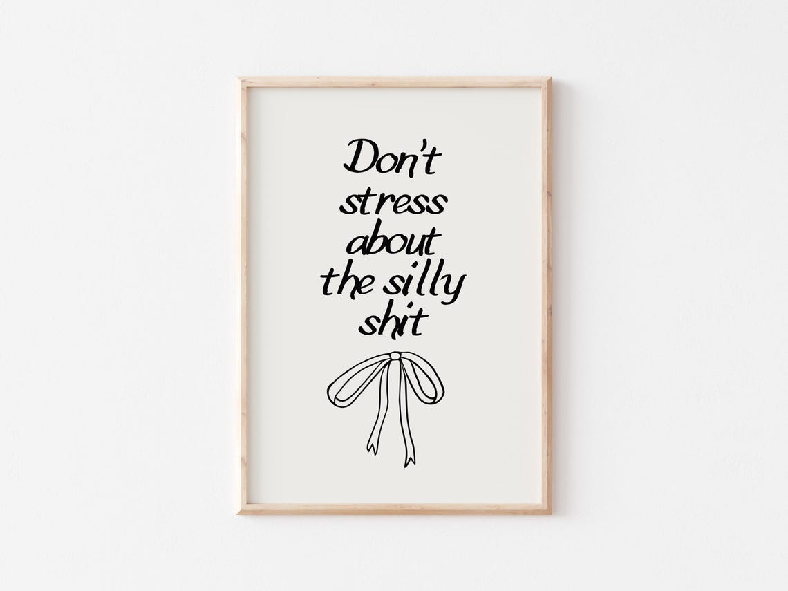 Dont Stress About The Silly Sht Inspirational Prints Trendy Wall Art Prints Cute Above Bed Decor Quirky Home Decor - Image 5