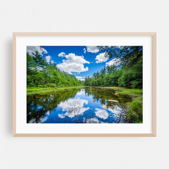 New Hampshire Forest Pond Mirror Reflection Summer Nature Poster