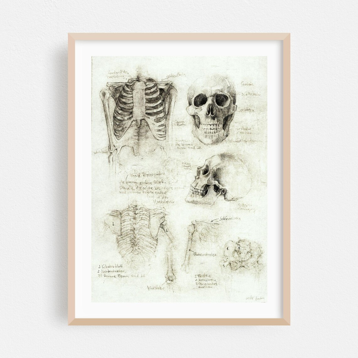 Da Vinci Style Human Anatomy Skeleton Sketch Vintage Art Poster