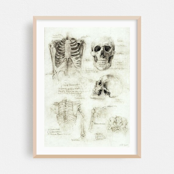 Line Art Print Drawing Wall Anatomy Framed