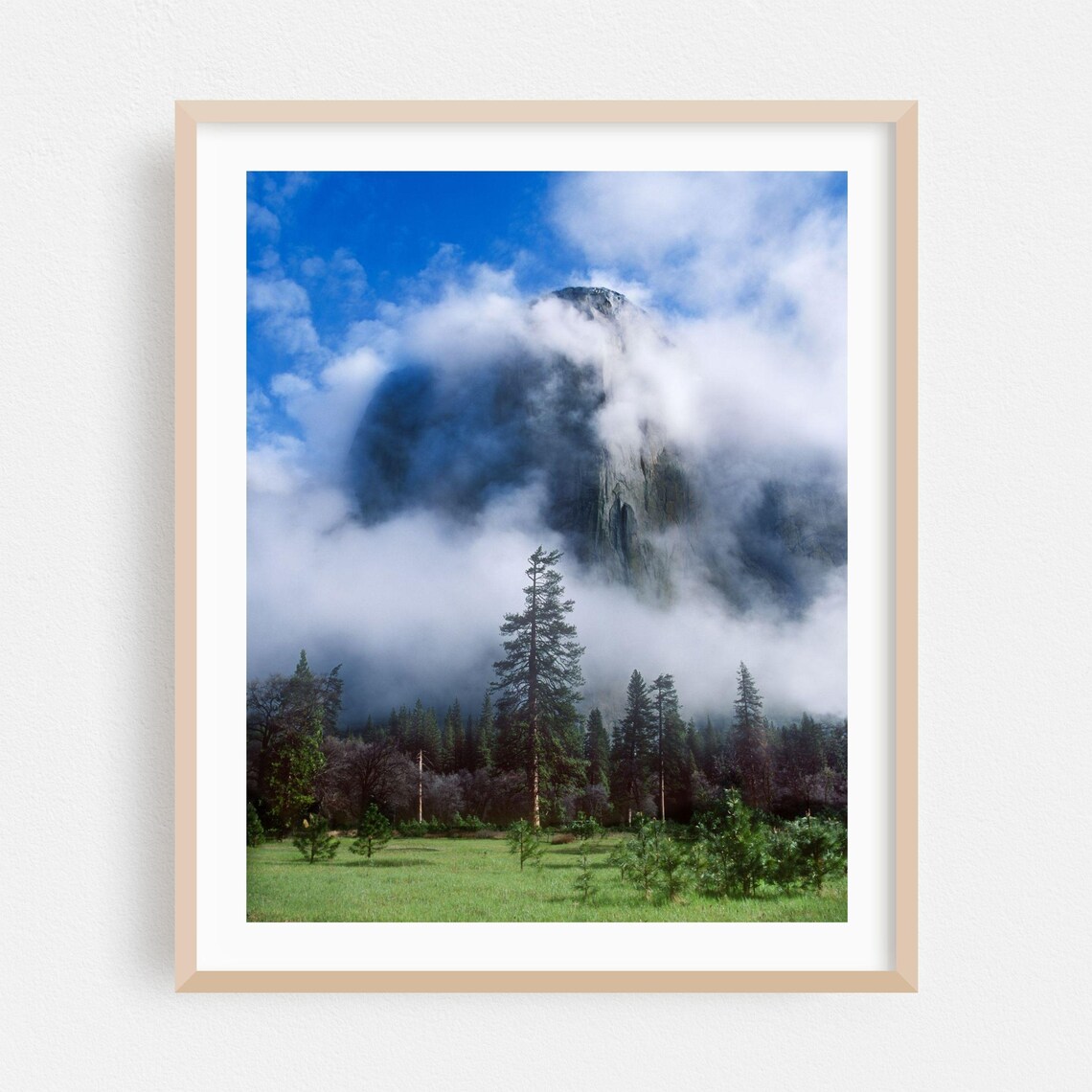 Foggy Mountain Wilderness Photography Poster With Misty Pines
