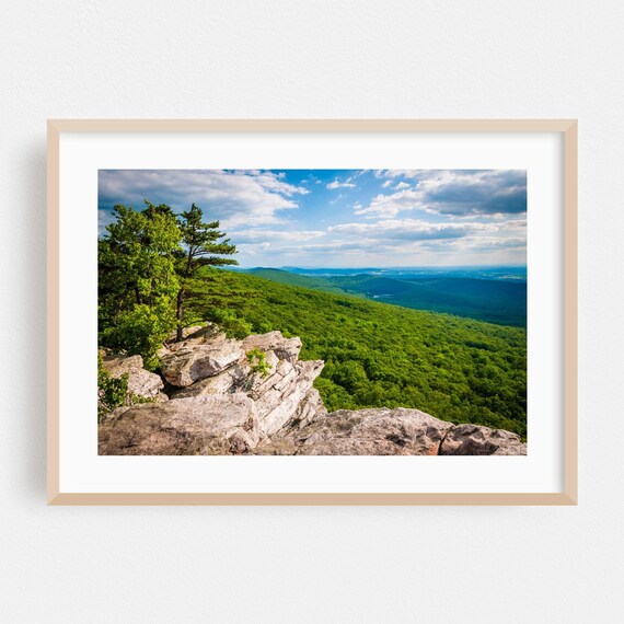 Maryland Green Mountain Forest Overlook Summer Landscape Photography Print
